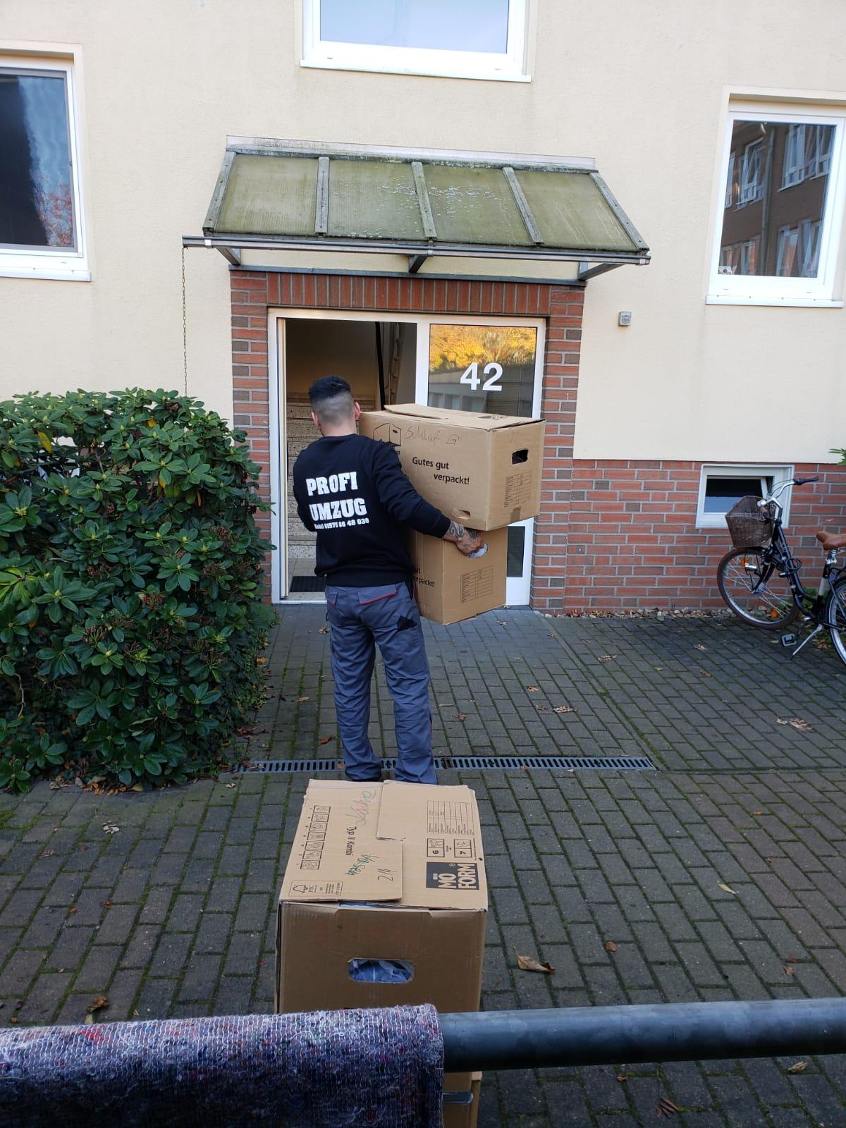 Profi-Umzugshelfer beim Tragen der Umzugskartons ins Haus